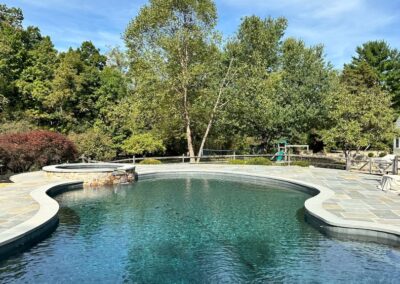 Free form swimming pool, raised attached spa
