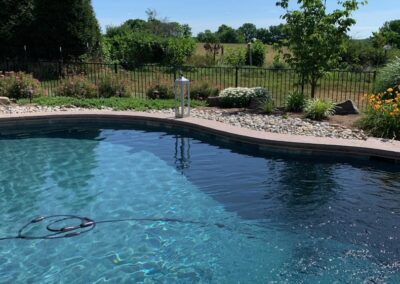 Freeform swimming pool