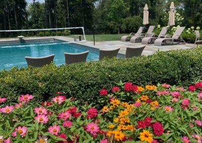 Poolside garden