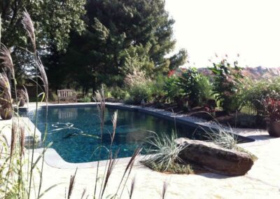 Poolside Garden